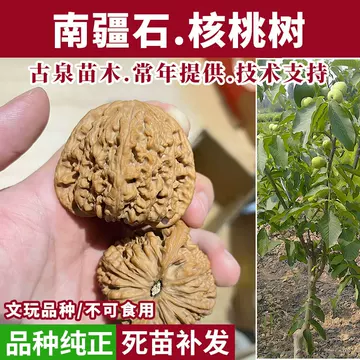 南疆石三角桩文玩核桃-南疆石三角桩文玩核桃促销价格、南疆石三角桩文