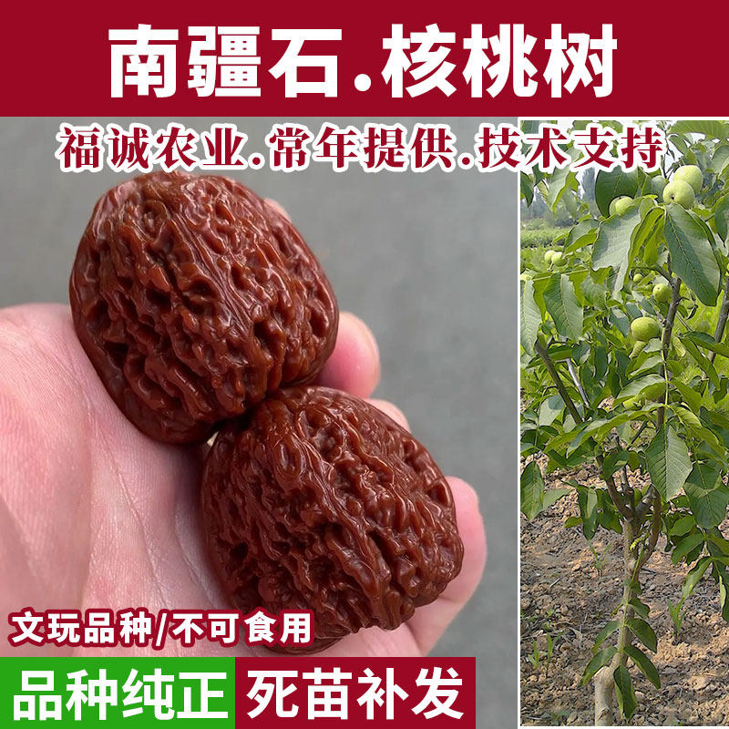 南疆石三角桩文玩核桃-南疆石三角桩文玩核桃促销价格、南疆石三角桩文
