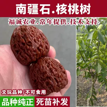 南疆石三角桩文玩核桃-南疆石三角桩文玩核桃促销价格、南疆石三角桩文