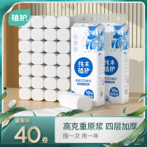 Plant protection coreless roll paper toilet paper household affordable toilet paper towel roll paper tube dormitory toilet whole box batch of toilet paper