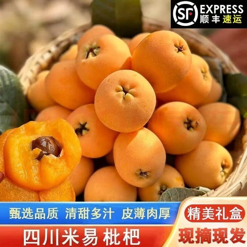 米易大五星枇杷5斤-米易大五星枇杷5斤促销价格、米易大五星枇杷5斤品牌