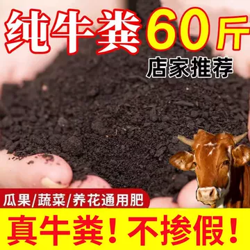 肥料 堆肥 牛 中国最新高温发酵牛粪有机肥粉供应商| Alibaba.com