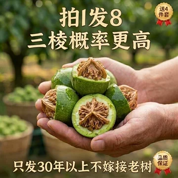 三棱文玩核桃-三棱文玩核桃促销价格、三棱文玩核桃品牌- 淘宝