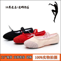 Dance Shoes Softbottom Women Special Girls Ballet Shoes Meat Color Adults Practice Cat Paw Shoes Black Dancing Shoes Children