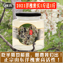 Acacia honey 2021 fresh and pure natural high purity farmhouse self-produced Sophora honey honey 500g