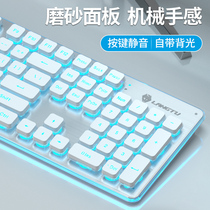 Mechanical feel keyboard Wired film silent silent e-sports games usb Desktop computer notebook external chocolate cute pink net Red office business keyboard and mouse set special