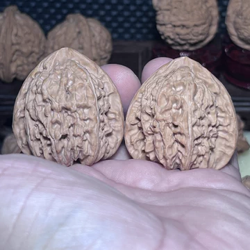 一果文玩-一果文玩促销价格、一果文玩品牌- 淘宝