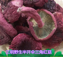 New authentic Fujian Sanming wild red mushroom with blue bottom half open umbrella red mushroom triangular mushroom dry goods 500g