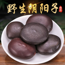 Wild Yin Yang Zi special selection of wood kidney medicine 500g with double kidney wind fruit wine nourishing health