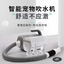 Joint Hair Pet Smart Blow Water Machine Dog Hair Dryer High Power Large Dog Kitty Bath drying blown hair theorizer
