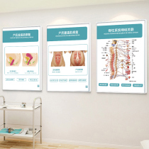 Medical decorative painting postpartum body recovery schematic wall chart Pelvic repair spinal system nerve poster wall chart