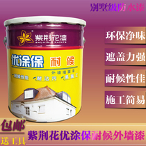 Bauhinia excellent coating exterior wall latex paint wall paint toilet waterproof coating durable sunscreen Villa exterior wall paint