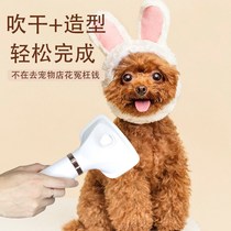 Blowing comb integrated hair dryer brushed bath blowing wind comb Teddy dog comb integrated hair PET machine blowing