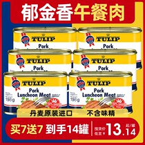 Danish imported Tulip luncheon meat 198g ready-to-eat military canned meat military pork cooked ham