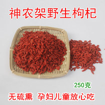 Shennongjia deep mountain pure wild wolfberry large grain wolfberry pure natural farmhouse premium sulfur-free smoked red wolfberry dry goods