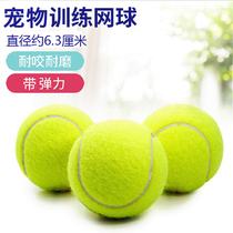 (Three pack) dog toy ball golden hair Teddy bounce ball resistant to bite grinding tennis pet puppy training