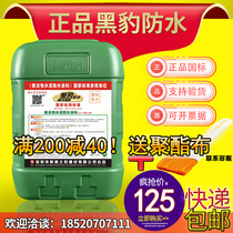 Shenzhen Black Panther waterproof glue coating kitchen toilet pool pool moisture-proof and leak-proof JS polymer 25kg