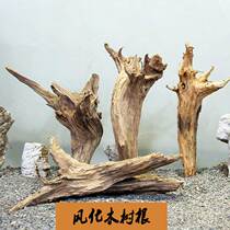 Rainforest dead wood tree root landscape root carving climbing pet wool design decorative props raw material diy water and land fish tank landscaping