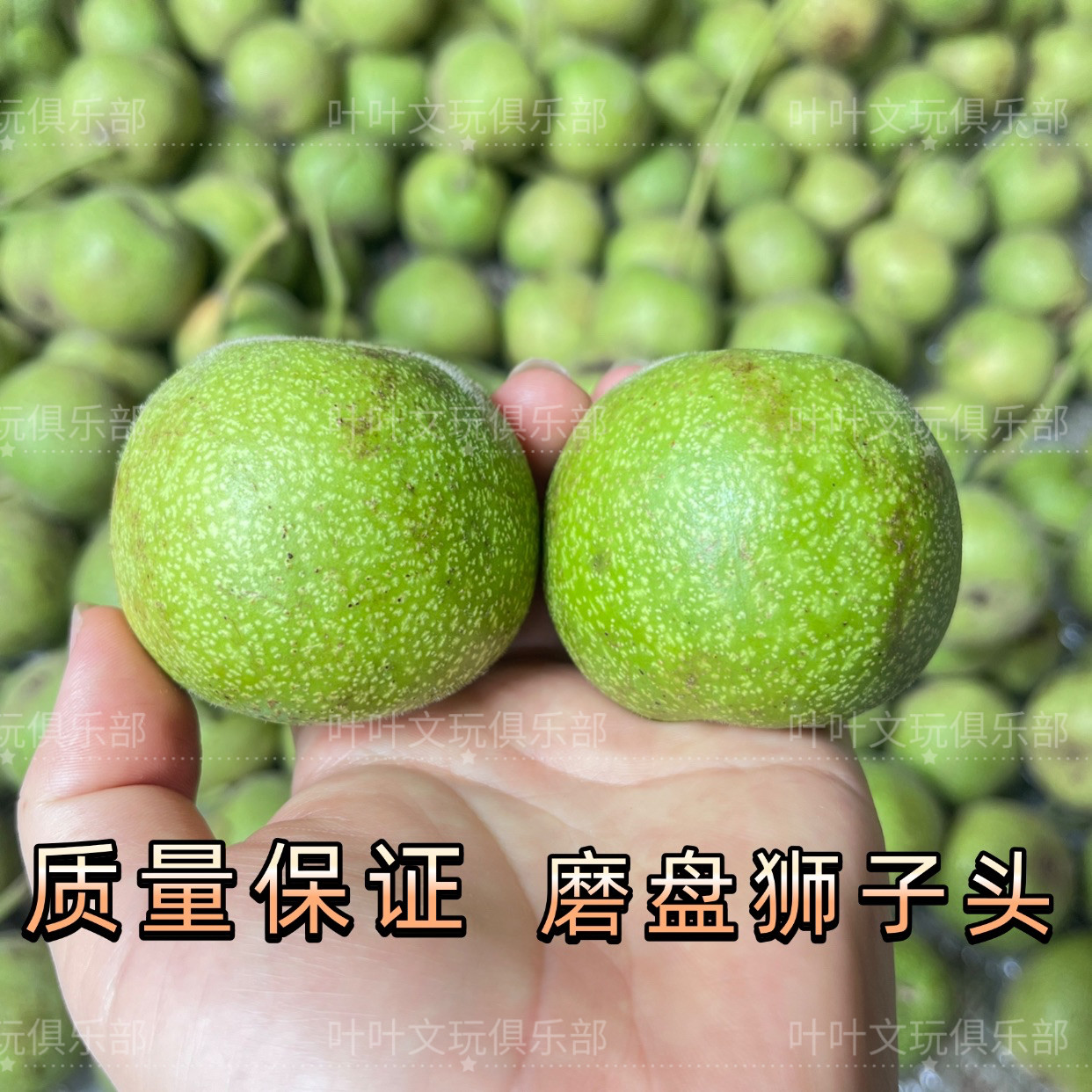 蛤蟆头文玩核桃-蛤蟆头文玩核桃促销价格、蛤蟆头文玩核桃品牌- 淘宝