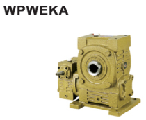 WPWEKA hole output shaft into reducer vertical double-stage WP worm gear cast iron turbine reducer Reducer