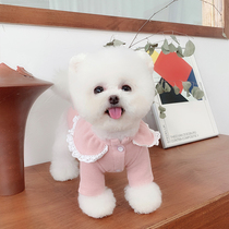 Rice family pet clothes autumn and winter New lace collar waffle Tedi than bear dog dress knitted cardigan