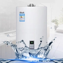 Forced Balanced RUS-13U22ARF Water Heater in Forest