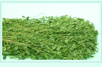 2021 New dried alfalfa hay fresh rabbit Dutch pig Chinchilla guinea pig forage feed 1KG