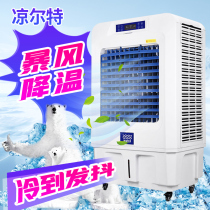 Cool Art Industrial Cold Blower Water Air Conditioning Environmentally Friendly Air-conditioning Breeding Factory Room Commercial Single Refrigeration Fan Muted