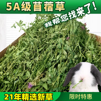  (New grass)Drying alfalfa rabbit Chinchilla food Alfalfa hay Dutch pig forage food Gross weight 1KG