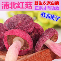 Pure natural wild red mushroom Rhodococcus vertebrum authentic Guangxi Pubei red mushroom dry goods 100g shiitake mushroom specialty