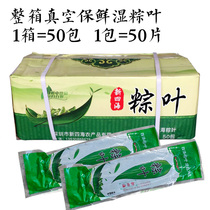 A full box of 50 packs of zongcotyledons vacuum fresh-keeping wet rice leaves fresh large zongleaves natural wild zongcotyledons 50 packets