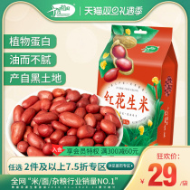 October rice field northeast red skin peanut small peanut kernel farm self-produced grain can be fried 1kg