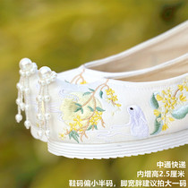 Original autumn antique Hanfu shoes Women embroidered shoes with Inner height in costume big daughter childrens cloth shoes dance