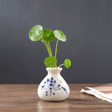 禅意水培插花陶瓷瓶-禅意水培插花陶瓷瓶促销价格、禅意水培插花陶瓷瓶