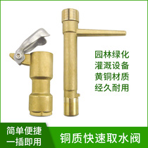 All copper water intake valve landscaping quick water intake 6-point lever key pole lawn water intake pipe