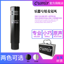 Musical instrument microphone erhu guzheng guitar professional stage performance piano radio performance recording condenser microphone