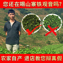 2021 New Tea Tieguanyin Luoxiang Autumn Tea Fujian Anxi Authentic Alpine Tea Bulk Bag 500g