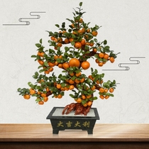 Natural Jade 128 orange tree living room home accessories Jade creative company Jade orange crafts ornaments