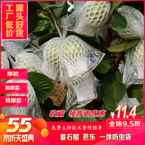 Fruit protective sleeve net bag guava guava net bag insect bag foam packaging bag one special bag mesh bag
