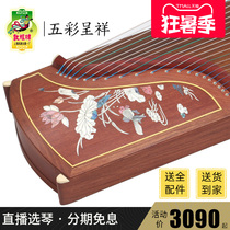 Dunhuang Guzheng 694L mahogany series shell carving professional examination Beginner Guzheng musical instrument (Dunhuang store)