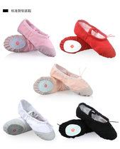 Childrens dance shoes soft-soled cat claw girls ballet shoes show dancing canvas practice shoes with flowers shoes