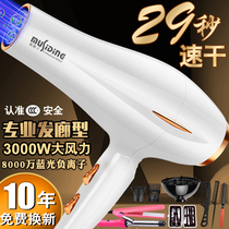 German hair salon electric hair dryer barber shop special 3000W high-power negative ion household wind speed dry