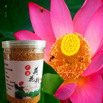 2021 New Lotus bee pollen pure natural bottle 500g fresh edible unbroken wall Guangchang Lotus pollen