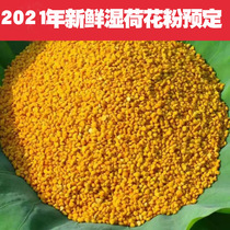 2021 Fresh wet lotus powder Edible fresh lotus powder unbreakable bee pollen alcohol is natural 1 kg