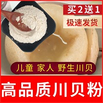 Sichuan Fritillaria Powder Sichuan Fritillaria Children Can Make Sichuan Fritillaria Snow Pear Cream Songbei Fritillaria Fritillaria Wild Chinese Medicine 20g