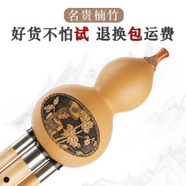 Hulusi Musical Instrument Beginner Professional Performance Type C Tune Primary School B Tone Childrens Famous Brand Nanzhu Hulusi Musical Instrument