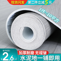 Thickened carpet bedroom large area full-resistant dirty disposable household balcony waterproof room living room full floor mat summer