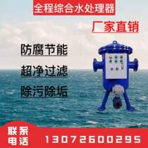 Carbon steel automatic integrated water treatment device Descaling manual full integrated water treatment instrument softens water quality