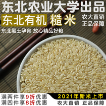 Northeast Agricultural University organic brown rice grains reduced pregnant women authentic japonica rice fertilizer coarse grain 2021 New Rice