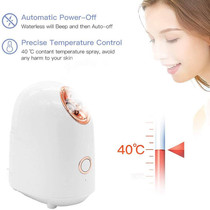 Hot Mist Facial Steamer Moisturizing Face Humidifier Skin